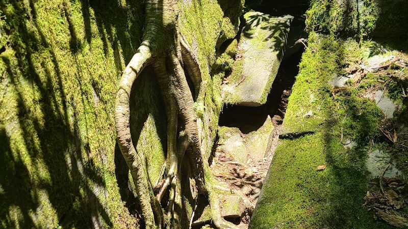 Falls Branch Trail - Tellico Plains, TN