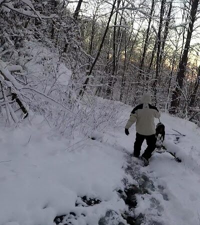 Falls Branch Trail - Tellico Plains, TN
