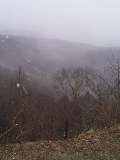 Falls Branch Trail - Tellico Plains, TN