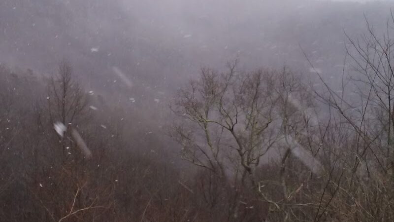 Falls Branch Trail - Tellico Plains, TN