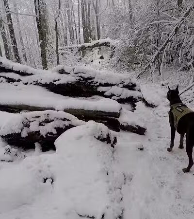 Falls Branch Trail - Tellico Plains, TN