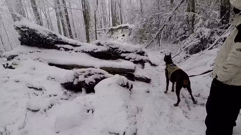 Falls Branch Trail - Tellico Plains, TN