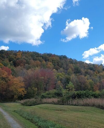 Hammer's Hideaway Campground - Tellico Plains, TN