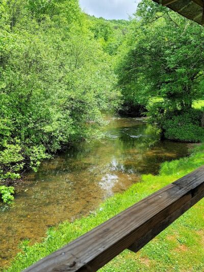 Hammer's Hideaway Campground - Tellico Plains, TN
