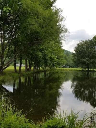 Hammer's Hideaway Campground - Tellico Plains, TN