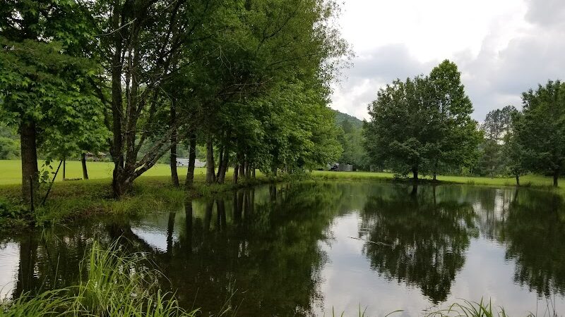 Hammer's Hideaway Campground - Tellico Plains, TN