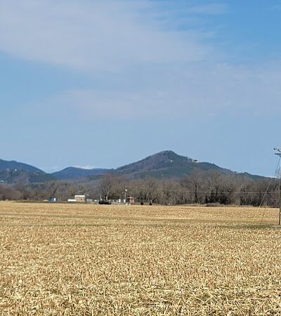 The Courts - Tellico Plains, TN