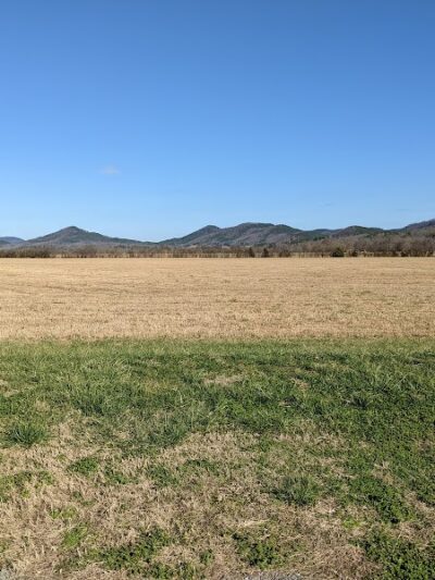 The Courts - Tellico Plains, TN