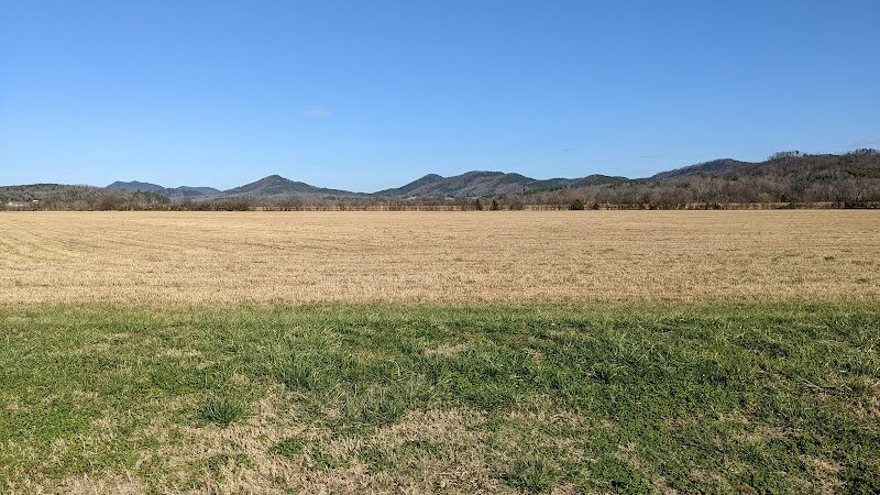 The Courts - Tellico Plains, TN