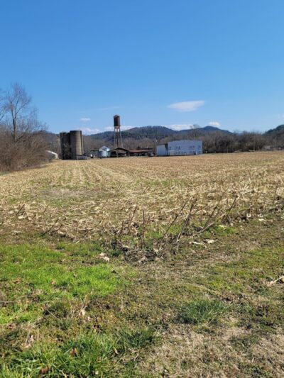 The Courts - Tellico Plains, TN