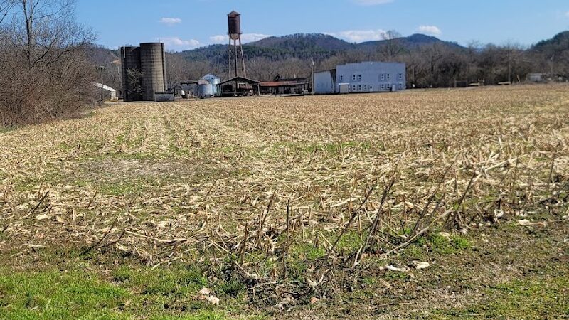 The Courts - Tellico Plains, TN