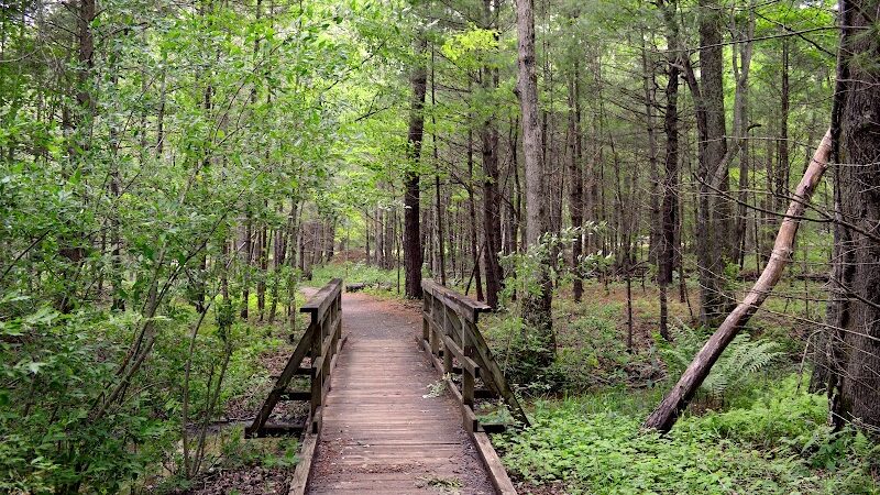 Indian Boundary Recreation Area - Tellico Plains, TN