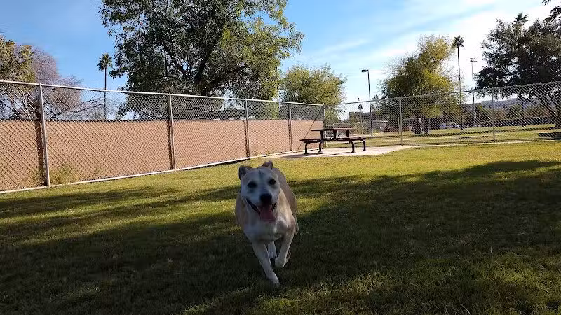 Clark Park Dog Park - Tempe, AZ