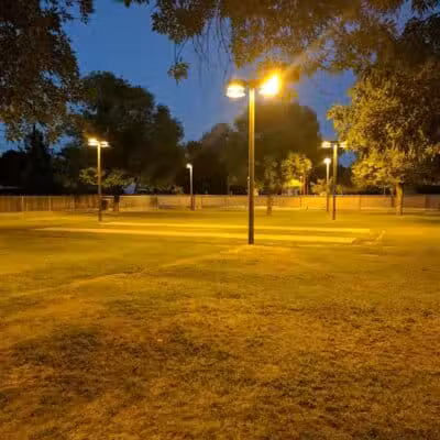 Clark Park Dog Park - Tempe, AZ