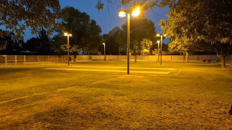 Clark Park Dog Park - Tempe, AZ
