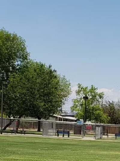 Clark Park Dog Park - Tempe, AZ