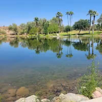 Papago Bark Park - Tempe, AZ