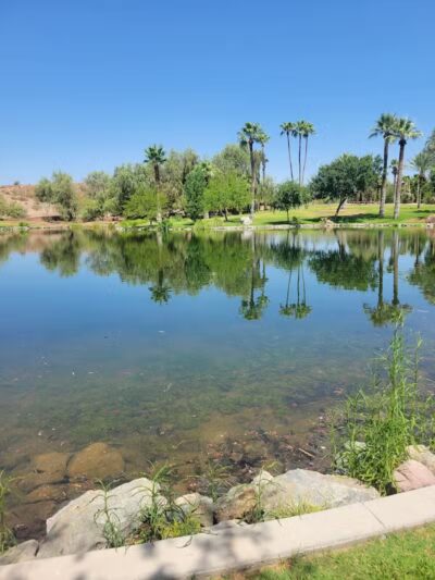 Papago Bark Park - Tempe, AZ