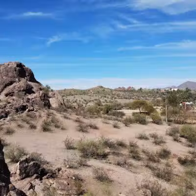 Papago Bark Park - Tempe, AZ