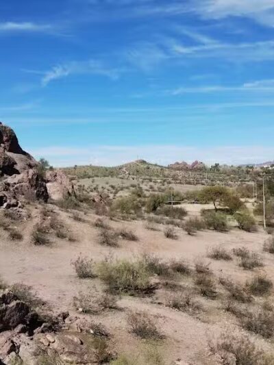 Papago Bark Park - Tempe, AZ