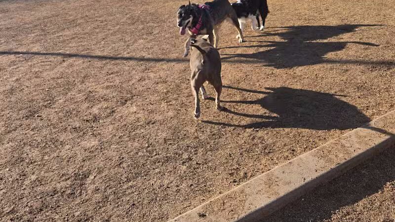 Papago Bark Park - Tempe, AZ
