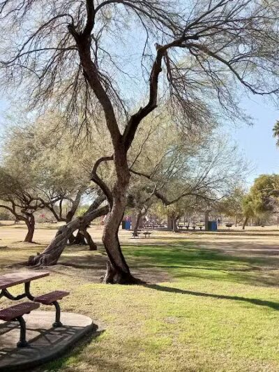 Papago Bark Park - Tempe, AZ