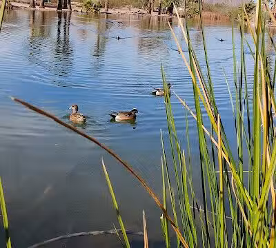 Papago Bark Park - Tempe, AZ