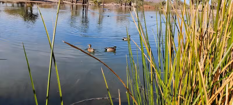 Papago Bark Park - Tempe, AZ