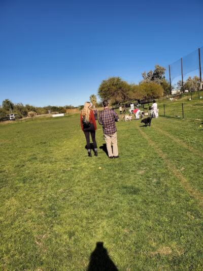 The Barking Bodega - Tempe, AZ