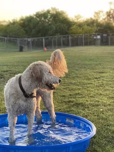 The Barking Bodega - Tempe, AZ