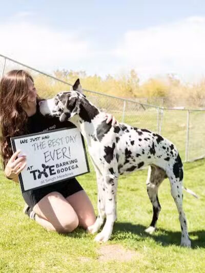 The Barking Bodega - Tempe, AZ