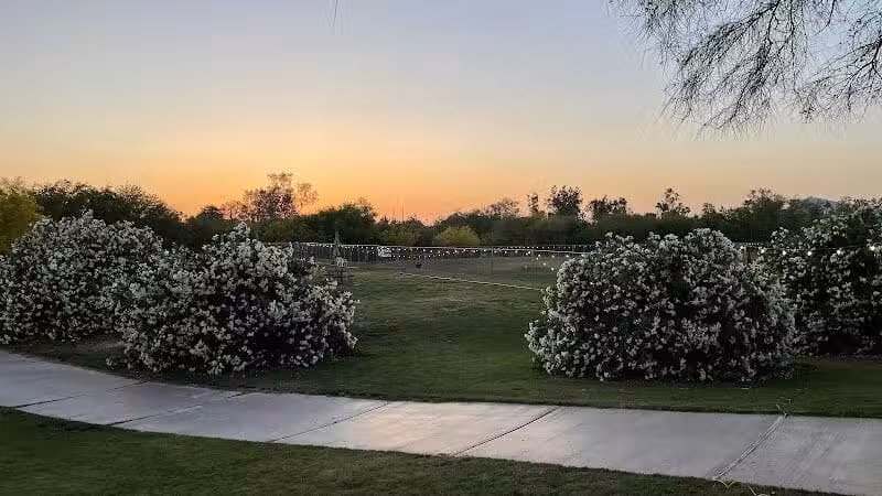 The Barking Bodega - Tempe, AZ