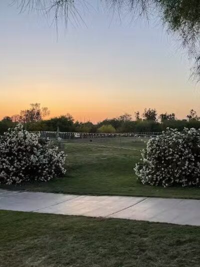 The Barking Bodega - Tempe, AZ