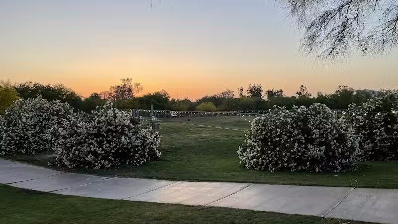 The Barking Bodega - Tempe, AZ