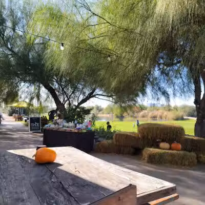 The Barking Bodega - Tempe, AZ