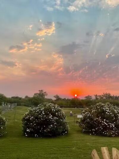 The Barking Bodega - Tempe, AZ