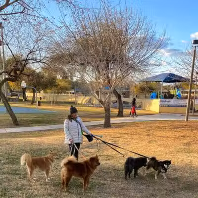 Mitchell Dog Park - Tempe, AZ