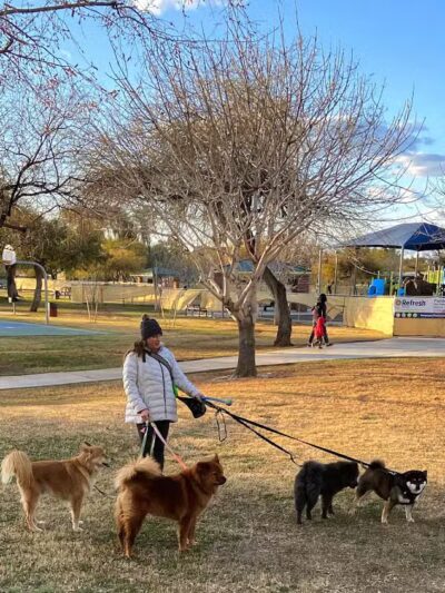 Mitchell Dog Park - Tempe, AZ