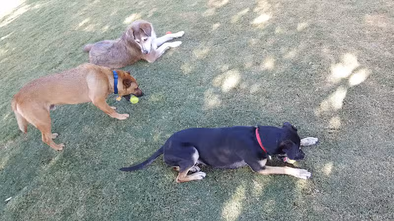 Mitchell Dog Park - Tempe, AZ