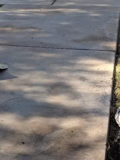 Mitchell Dog Park - Tempe, AZ