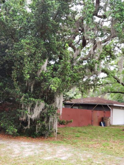 Temple Terrace Dog park - Temple Terrace, FL