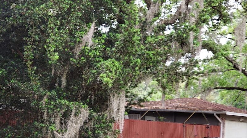 Temple Terrace Dog park - Temple Terrace, FL