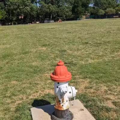 Pawsome Playground Dog Park - The Colony, TX