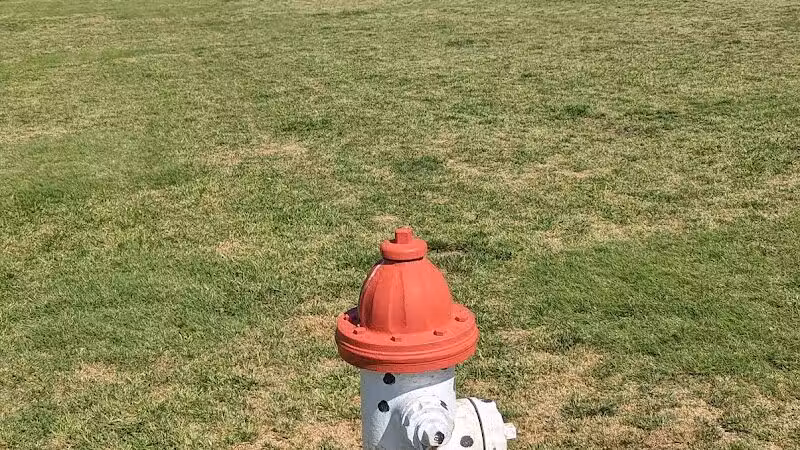 Pawsome Playground Dog Park - The Colony, TX