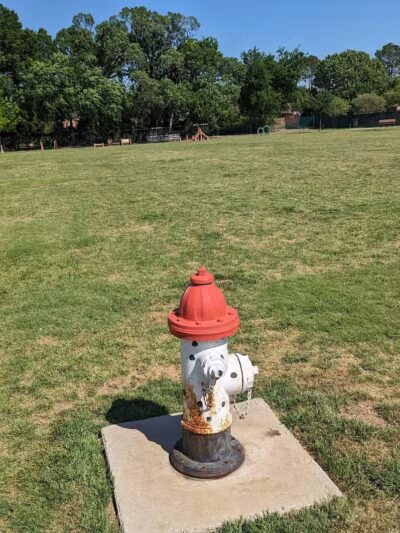 Pawsome Playground Dog Park - The Colony, TX