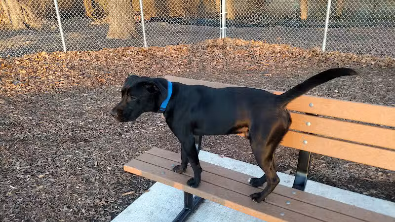 Pawsome Playground Dog Park - The Colony, TX