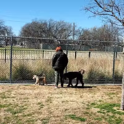 Pawsome Playground Dog Park - The Colony, TX
