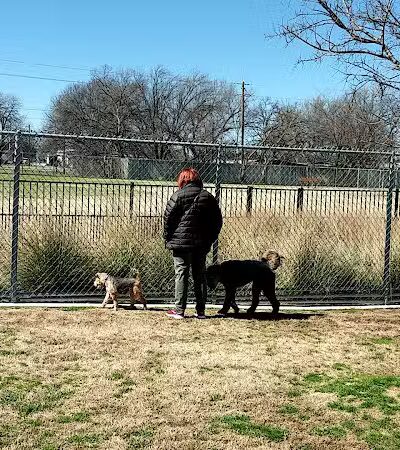 Pawsome Playground Dog Park - The Colony, TX