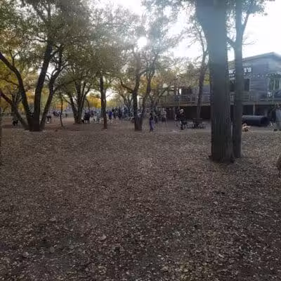 The Shacks Dining & Dog Park - The Colony, TX
