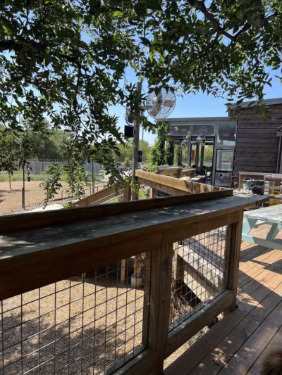 The Shacks Dining & Dog Park - The Colony, TX